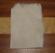 ����� ������� calf body hair white Terskibereg